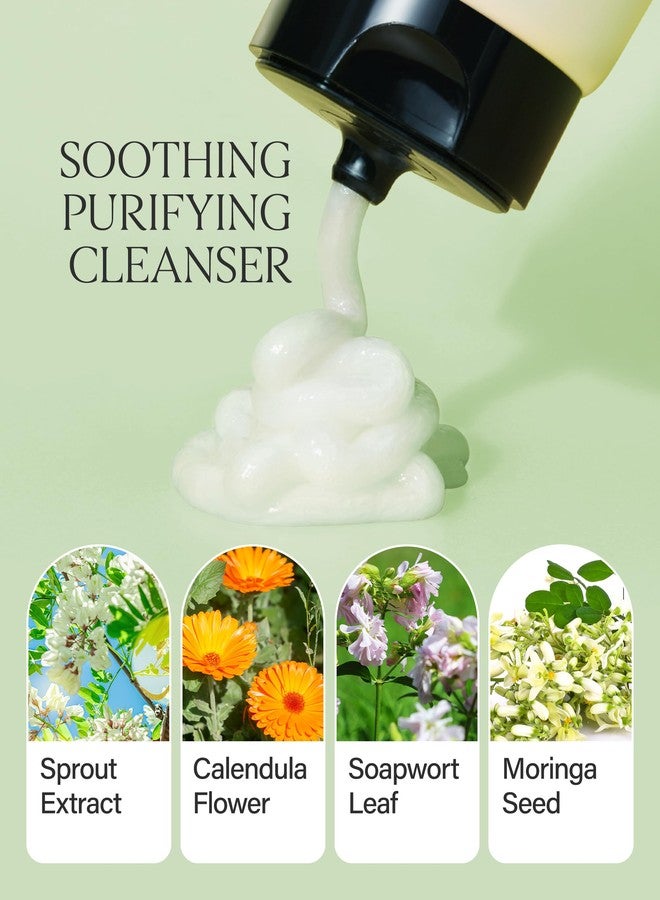 About Me Sprout Mild pH Cleansing Foam – Korean Wheat Broccoli Sprout Extract Face Wash for All Skin Types – Daily Gentle Cleansing with Amino Acids – Korean Skin Care – 4.05oz, 120ml - Image 4